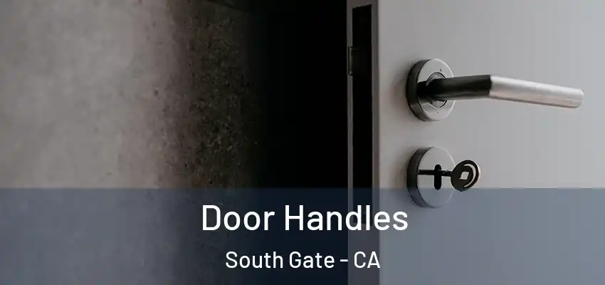  Door Handles South Gate - CA